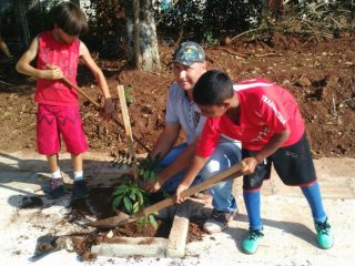 Plantio de árvores frutíferas embeleza ainda mais o calçamento da localidade de Esquina Penz