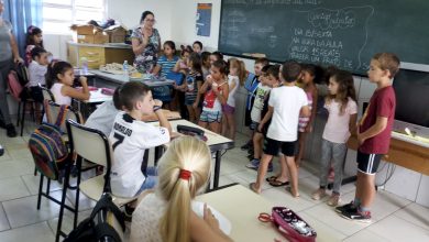 O mundo novo do ensino fundamental