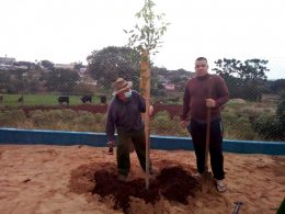 Seu Attilio Dummel é exemplo no cuidado do Parque Infantil da Cohab