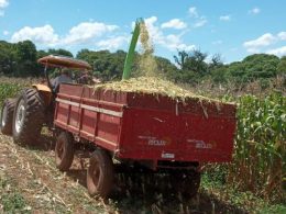 Secretaria da Agricultura fortalece a Agricultura Familiar