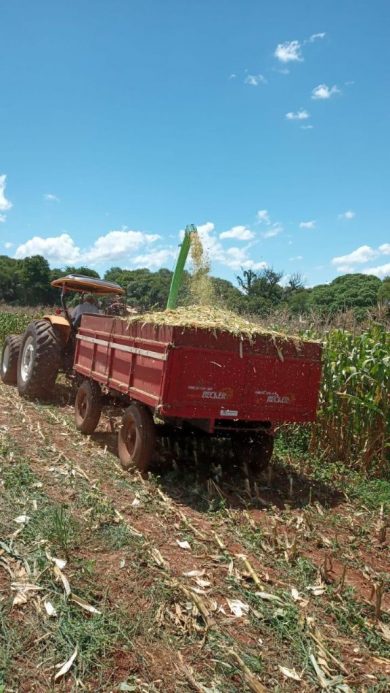 Secretaria da Agricultura fortalece a Agricultura Familiar