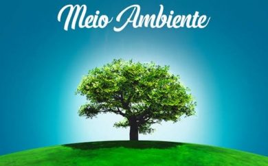 Setor de Meio Ambiente em novo local de atendimento