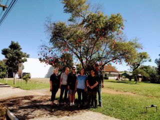 Comunidade Ernestinense é convidada a enfeitar árvore de páscoa