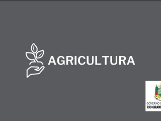 Inscrições para construção de cisternas pelo Programa Avançar são abertas em Ernestina
