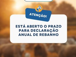 Está aberto o prazo para Declaração Anual de Rebanho