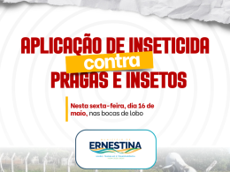 Ernestina intensifica combate a pragas e insetos com aplicação de inseticida em bocas de lobo e bueiros