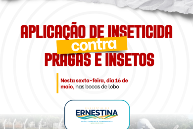 Ernestina intensifica combate a pragas e insetos com aplicação de inseticida em bocas de lobo e bueiros