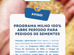 Programa Milho 100% abre período para pedidos de sementes em Ernestina