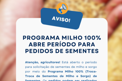 Programa Milho 100% abre período para pedidos de sementes em Ernestina