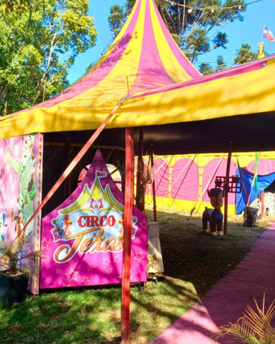 Estudantes da rede municipal de Ernestina vivem um dia mágico no Circo Texas
