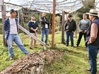 Oficina prática de vitivinicultura promove aprendizado no campo em Ernestina