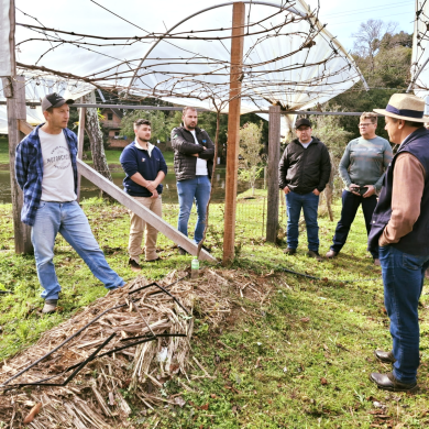 Oficina prática de vitivinicultura promove aprendizado no campo em Ernestina