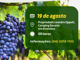 Secretaria da Agricultura e Meio Ambiente convida produtores para prática de podas em viticultura