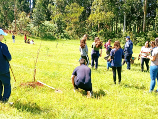 Alunos da Escola João Alfredo Sachser realizam o plantio de árvores frutíferas