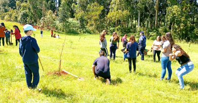 Alunos da Escola João Alfredo Sachser realizam o plantio de árvores frutíferas