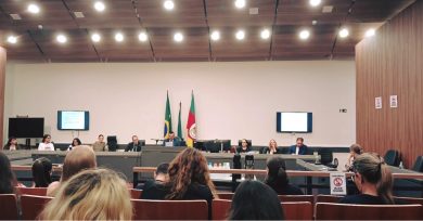 Cras de Ernestina participa de audiência pública sobre violência doméstica