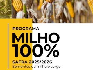 Programa Milho 100% está com inscrições abertas em Ernestina