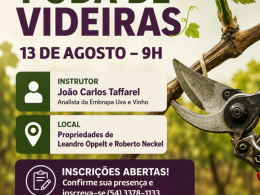Produtores de Ernestina terão capacitação prática sobre poda de videiras