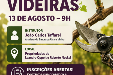 Produtores de Ernestina terão capacitação prática sobre poda de videiras