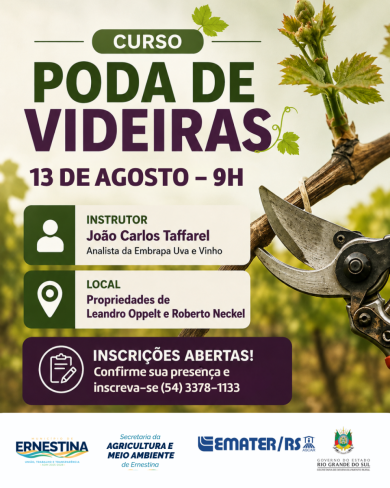 Produtores de Ernestina terão capacitação prática sobre poda de videiras